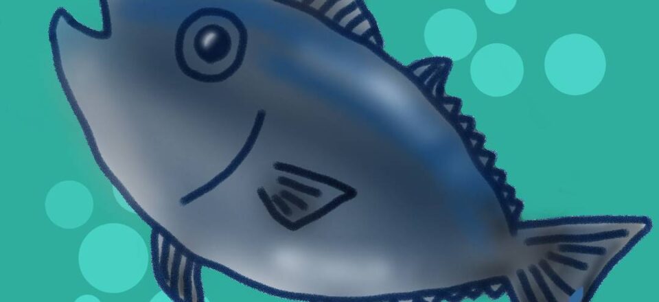 マグロ